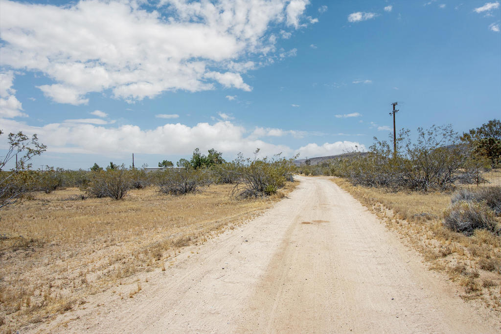 MLS #219132429PS image #5