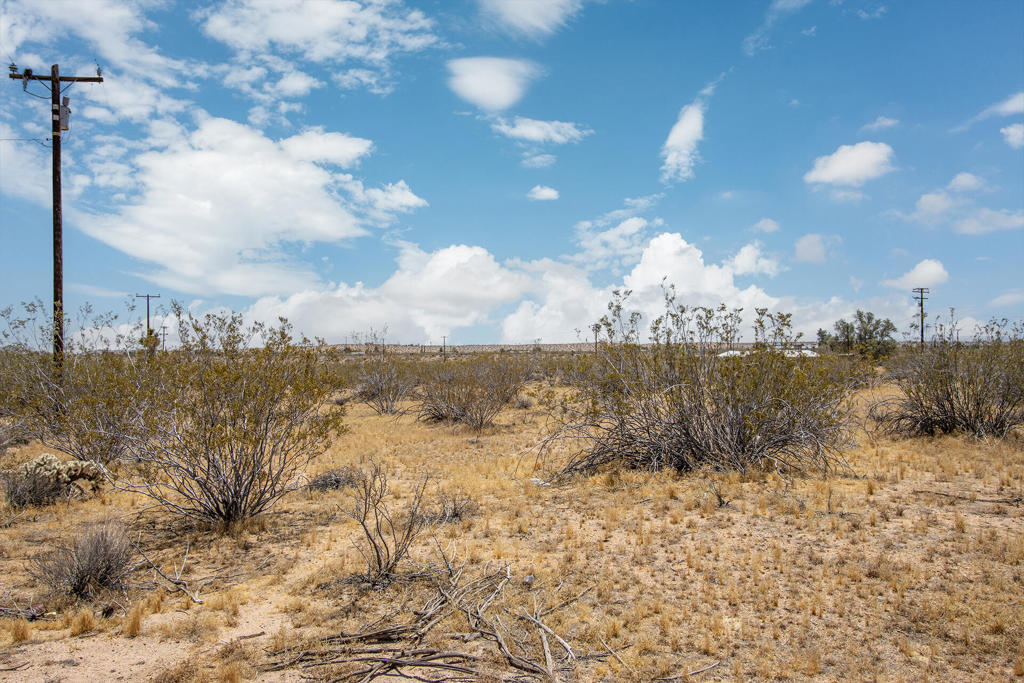 MLS #219132429PS image #7