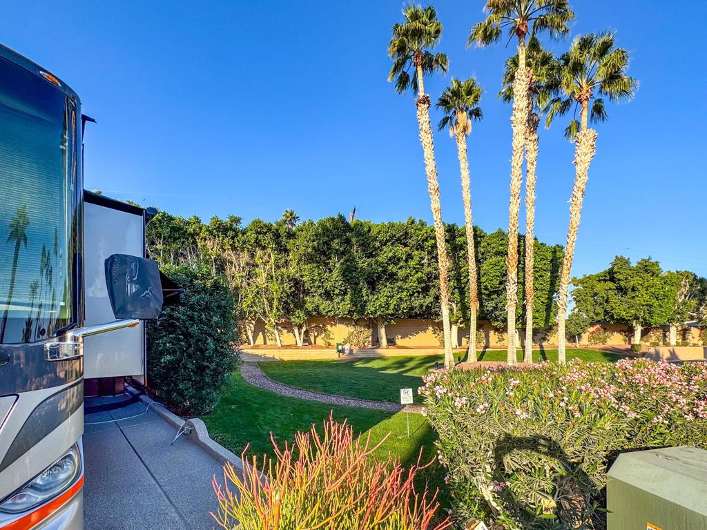 MLS #219132474DA image #6