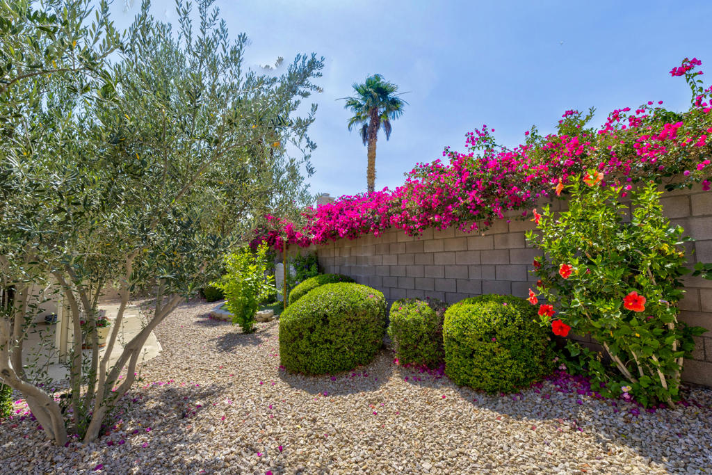 MLS #219132525DA image #24