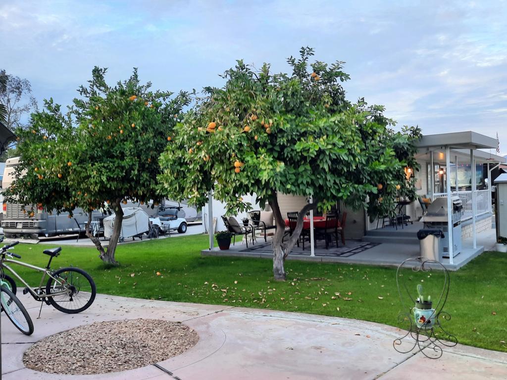 MLS #219132690DA image #2