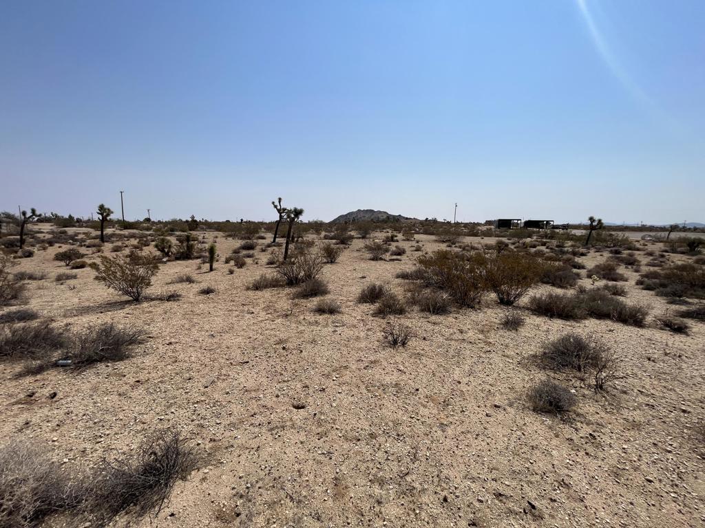 MLS #219132715DA image #12