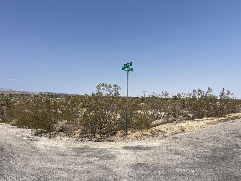 MLS #219132715DA image #2