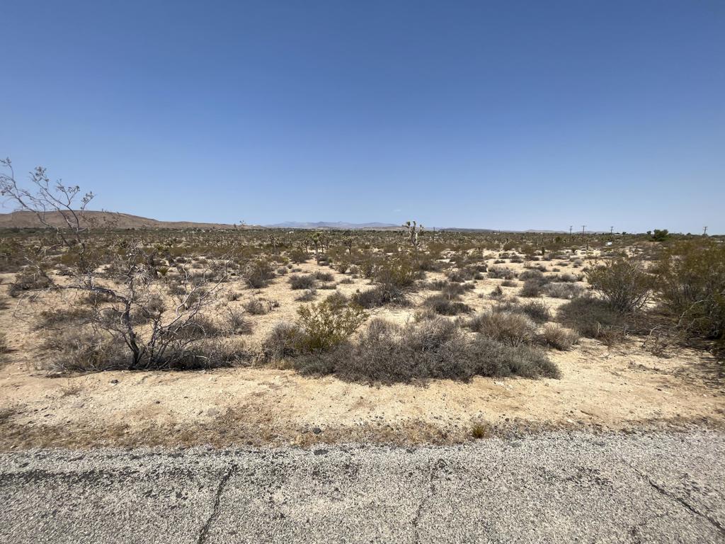 MLS #219132715DA image #5