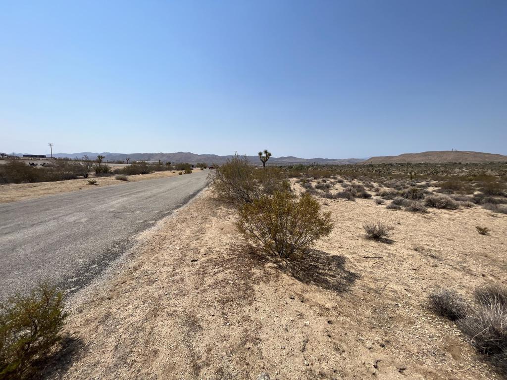 MLS #219132715DA image #6