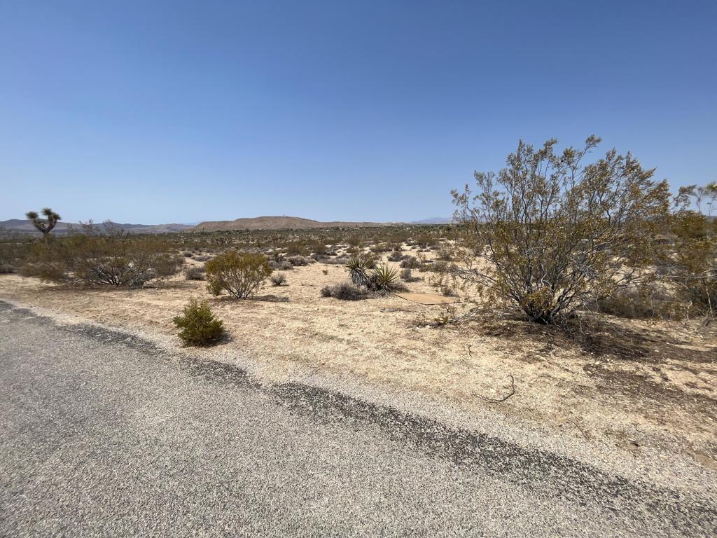 MLS #219132715DA image #7