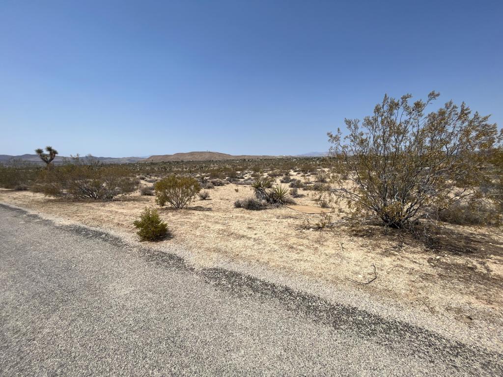 MLS #219132715DA image #8