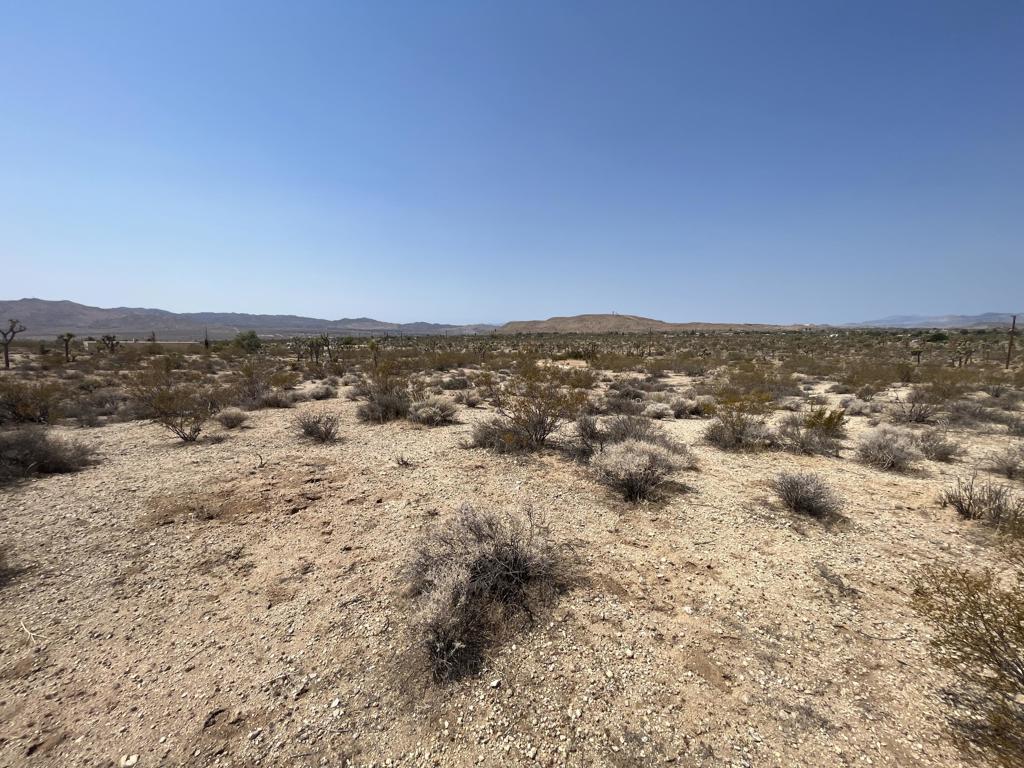 MLS #219132715DA image #9