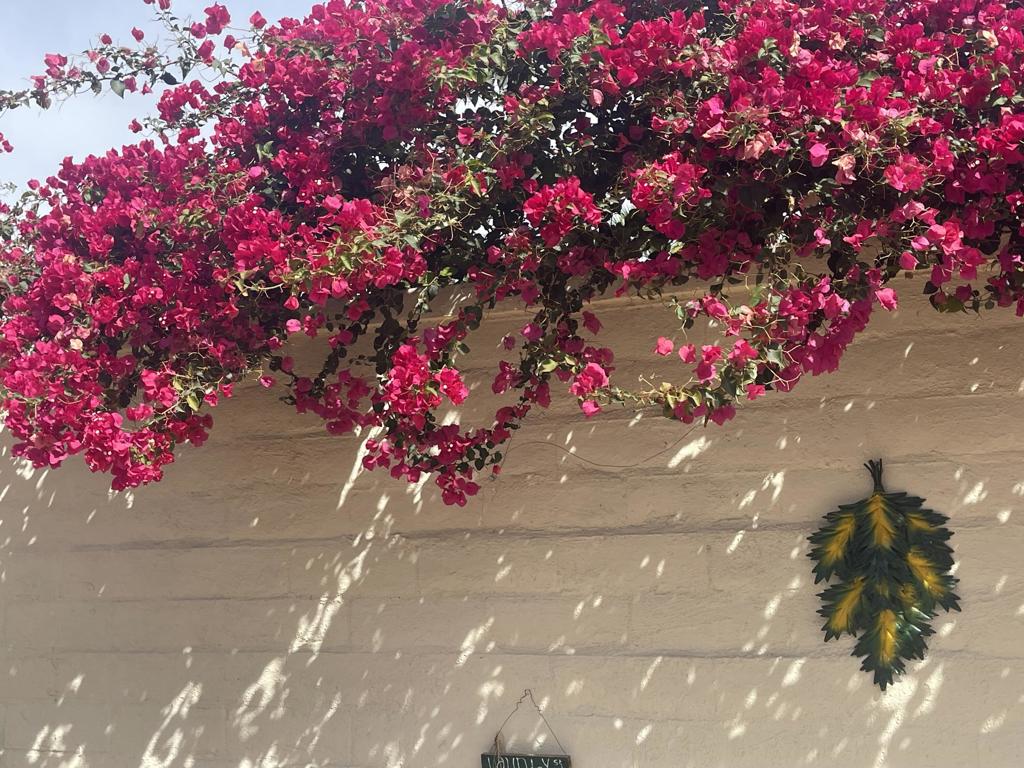 MLS #219132776DA image #10