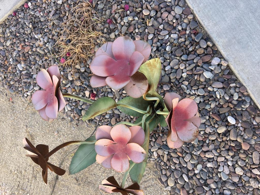 MLS #219132776DA image #11