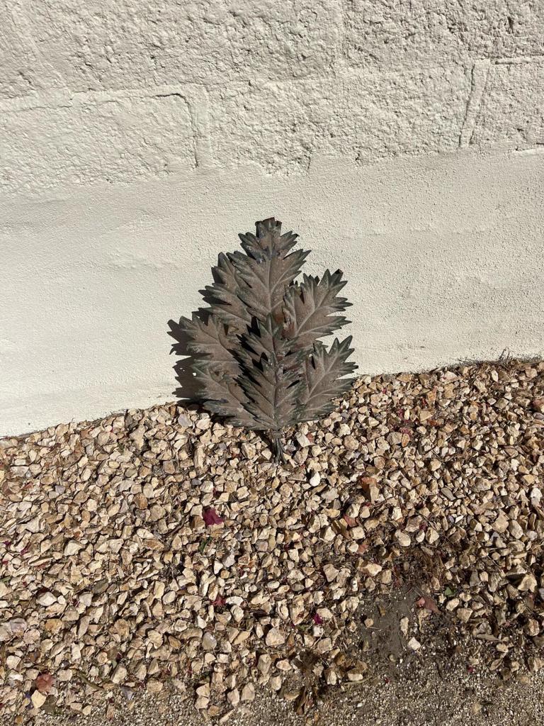 MLS #219132776DA image #12