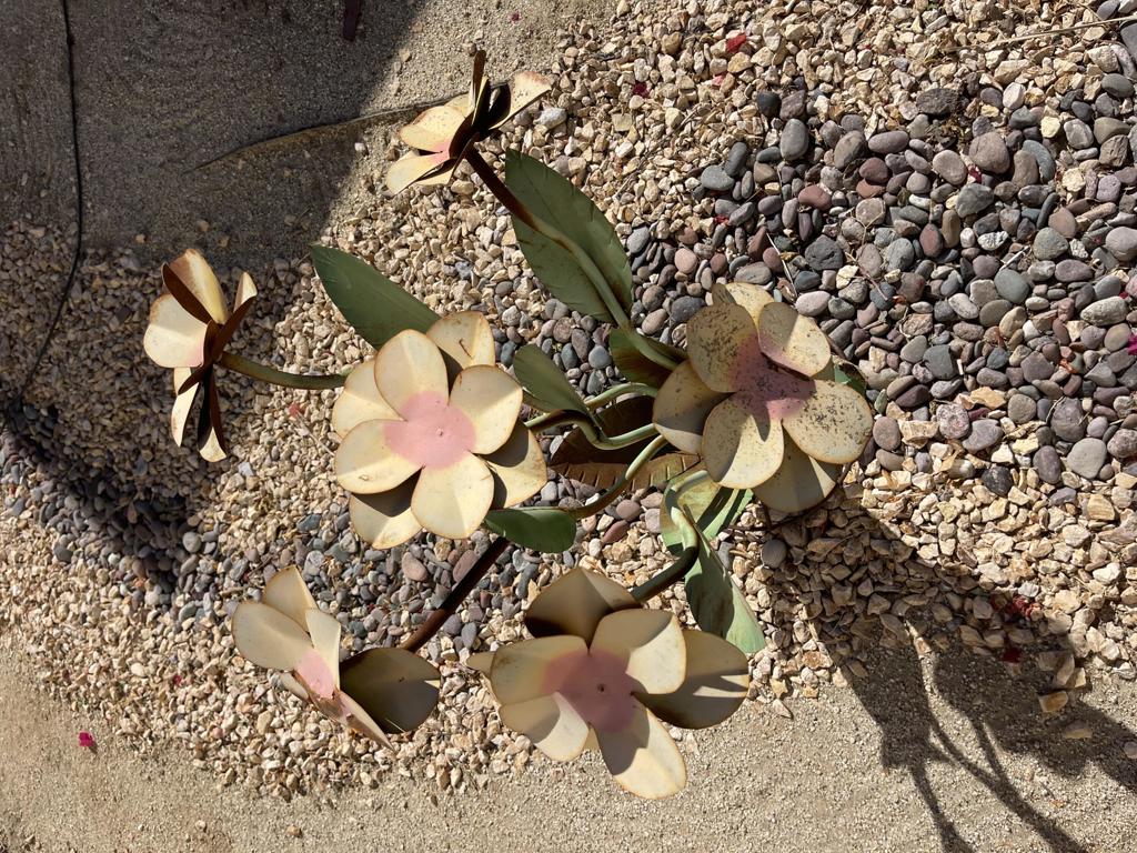 MLS #219132776DA image #14