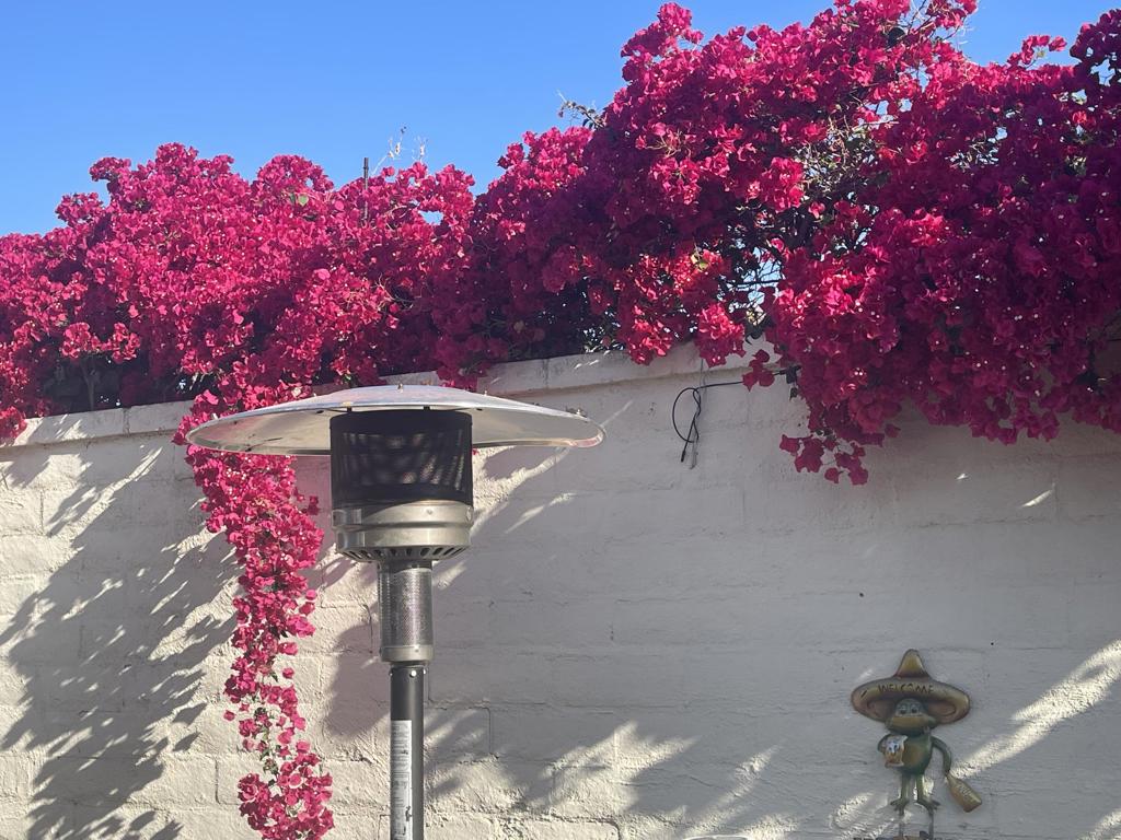 MLS #219132776DA image #8