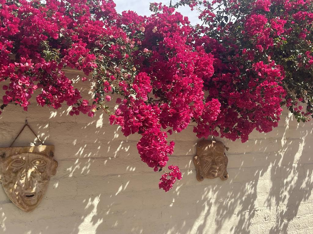 MLS #219132776DA image #9