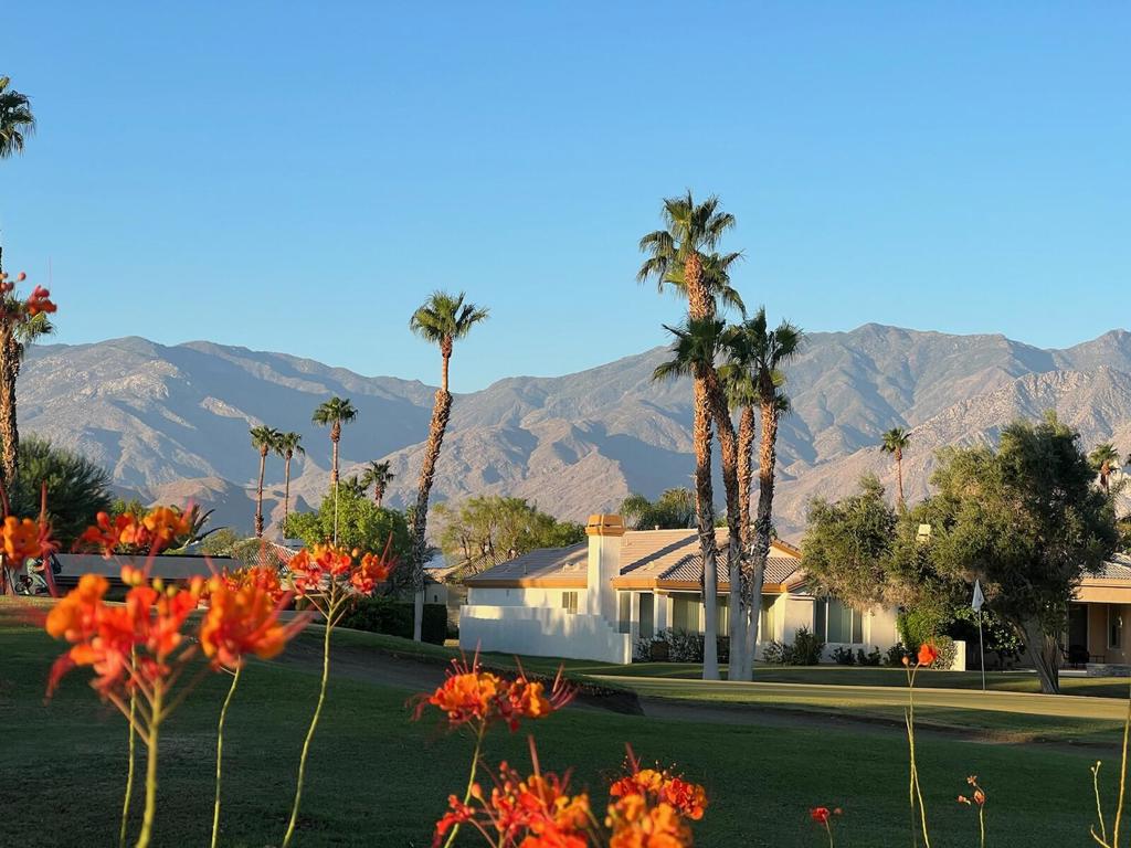 MLS #219132858DA image #18