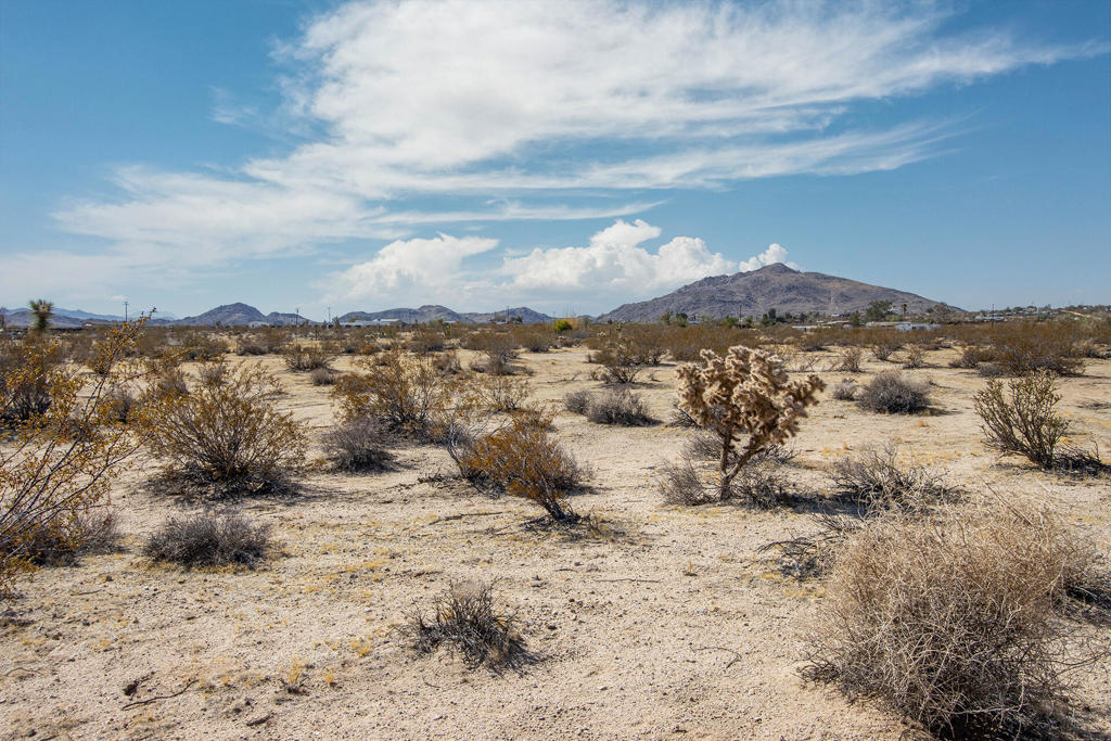 MLS #219132863PS image #11