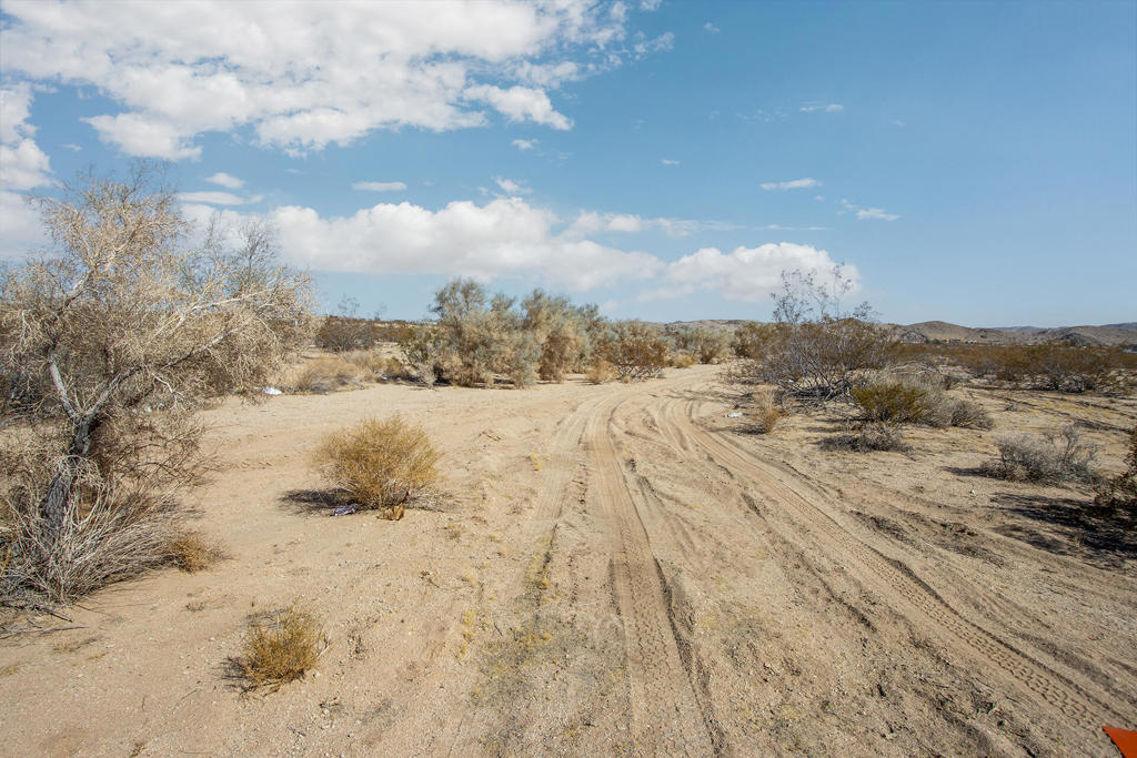 MLS #219132863PS image #3