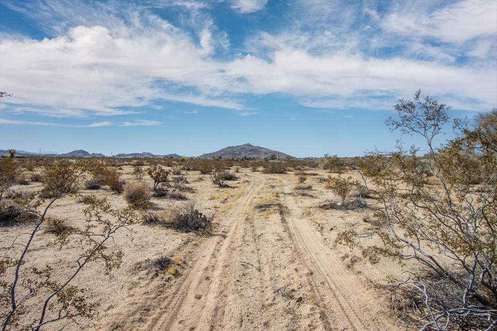 MLS #219132863PS image #5