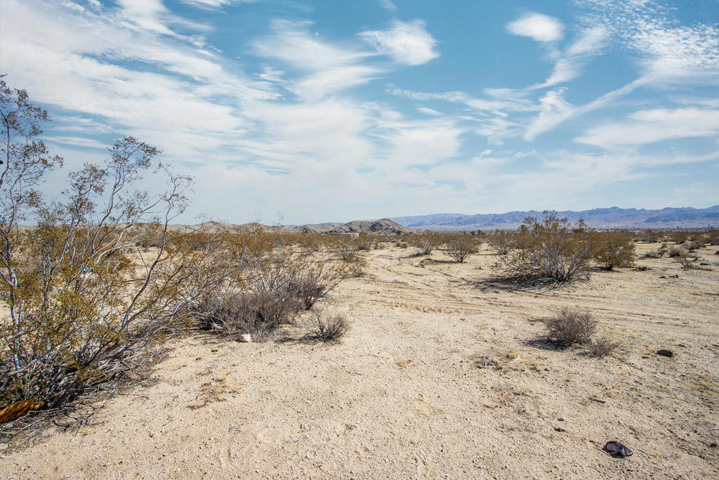 MLS #219132863PS image #7