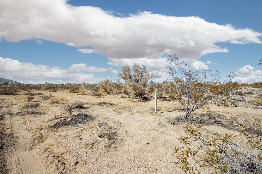 MLS #219132863PS image #9