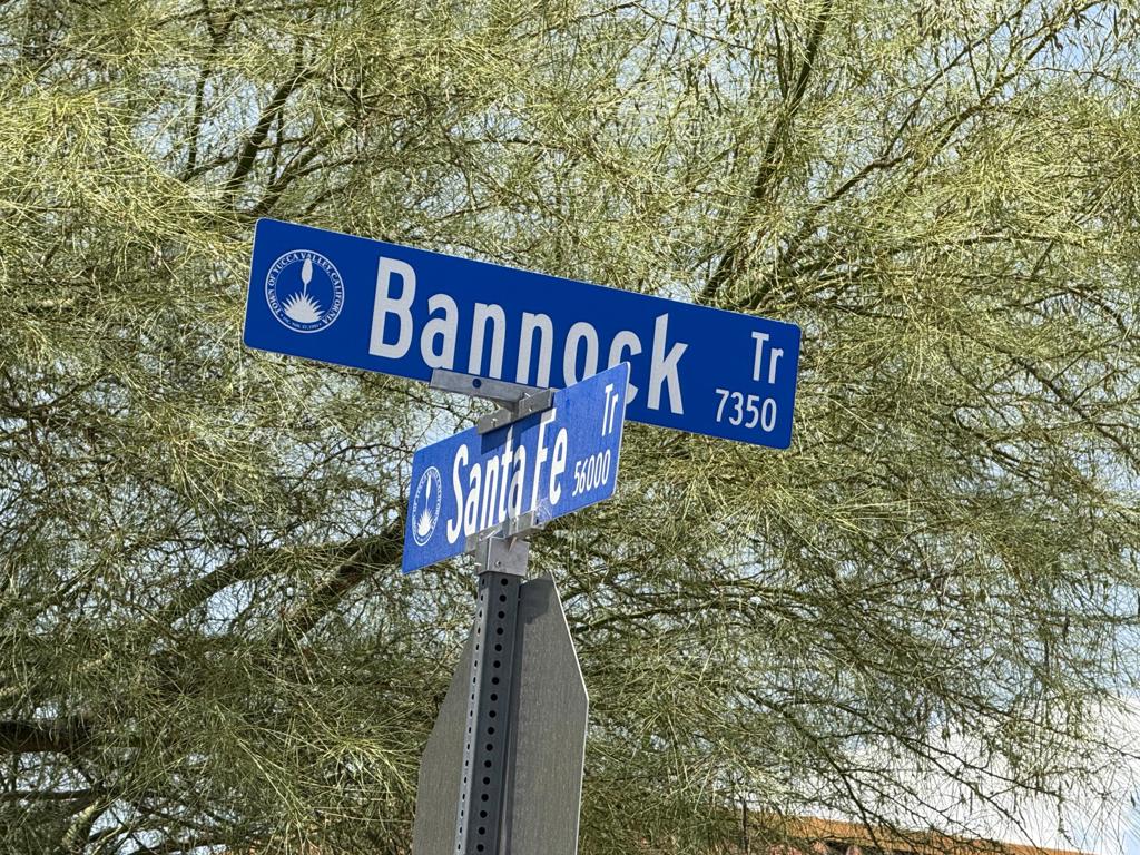 MLS #219132930DA image #14