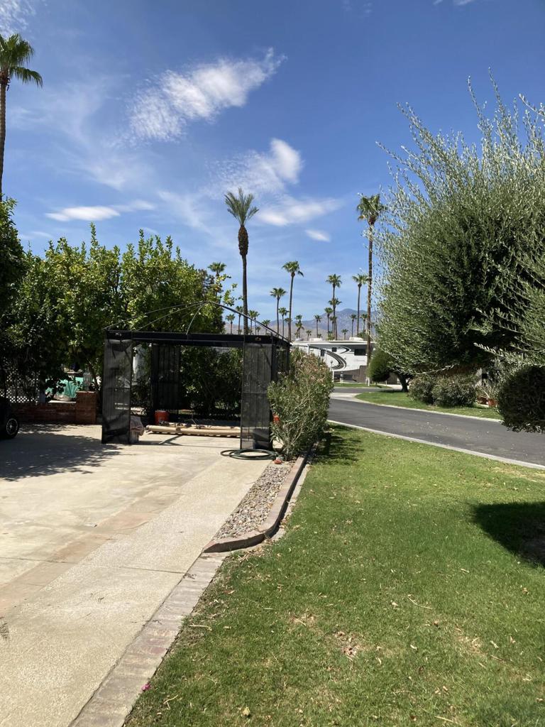 MLS #219133082DA image #8