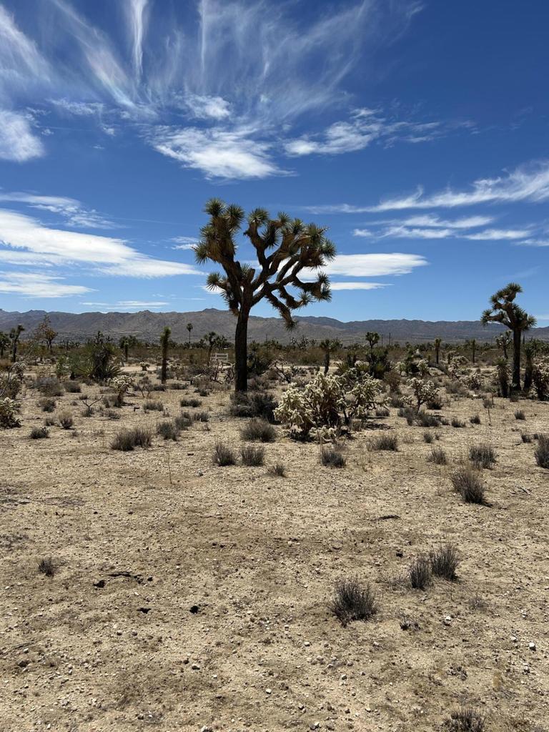 MLS #219133233DA image #11