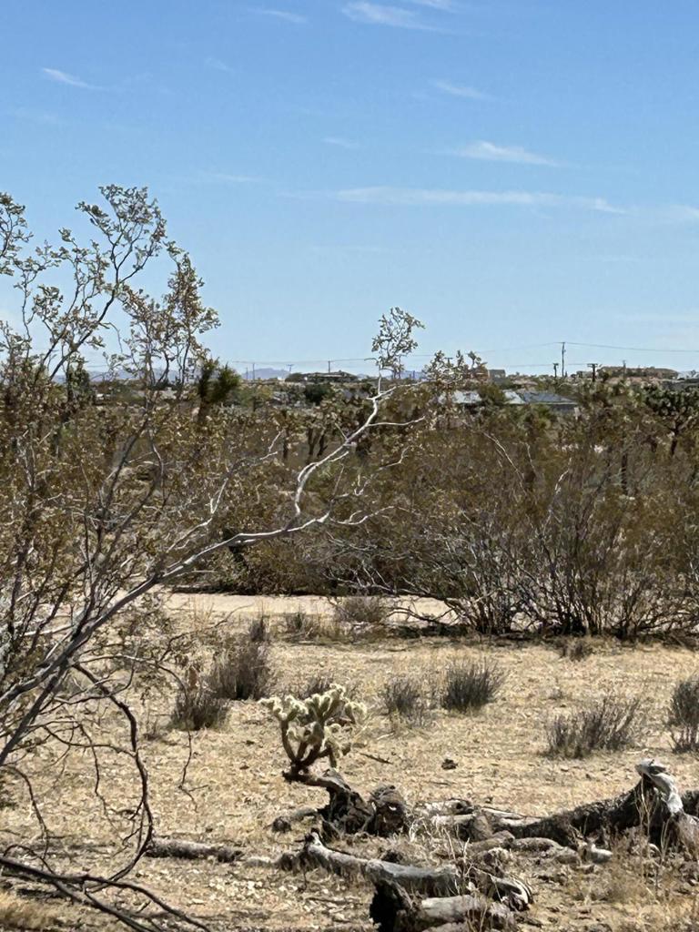 MLS #219133233DA image #12