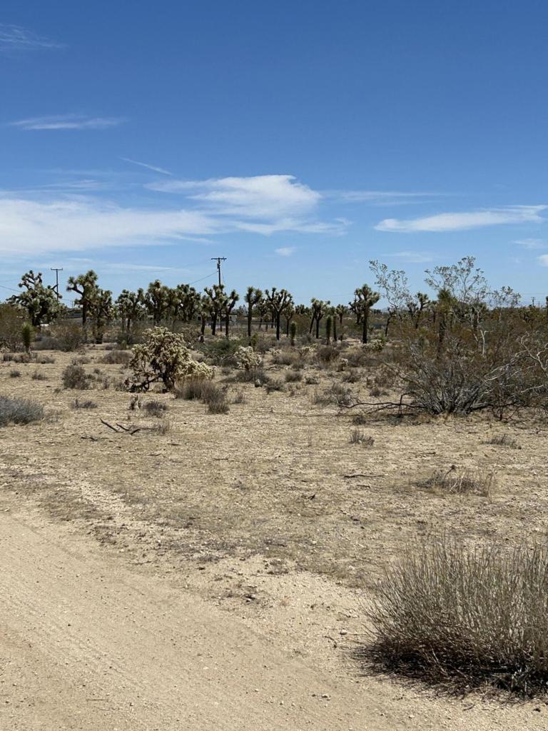 MLS #219133233DA image #13