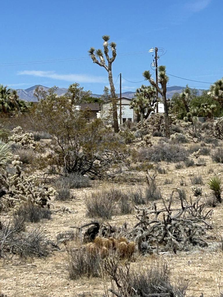 MLS #219133233DA image #14