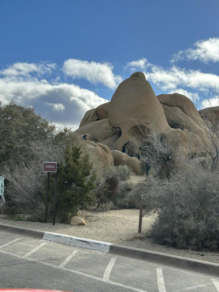 MLS #219133233DA image #22