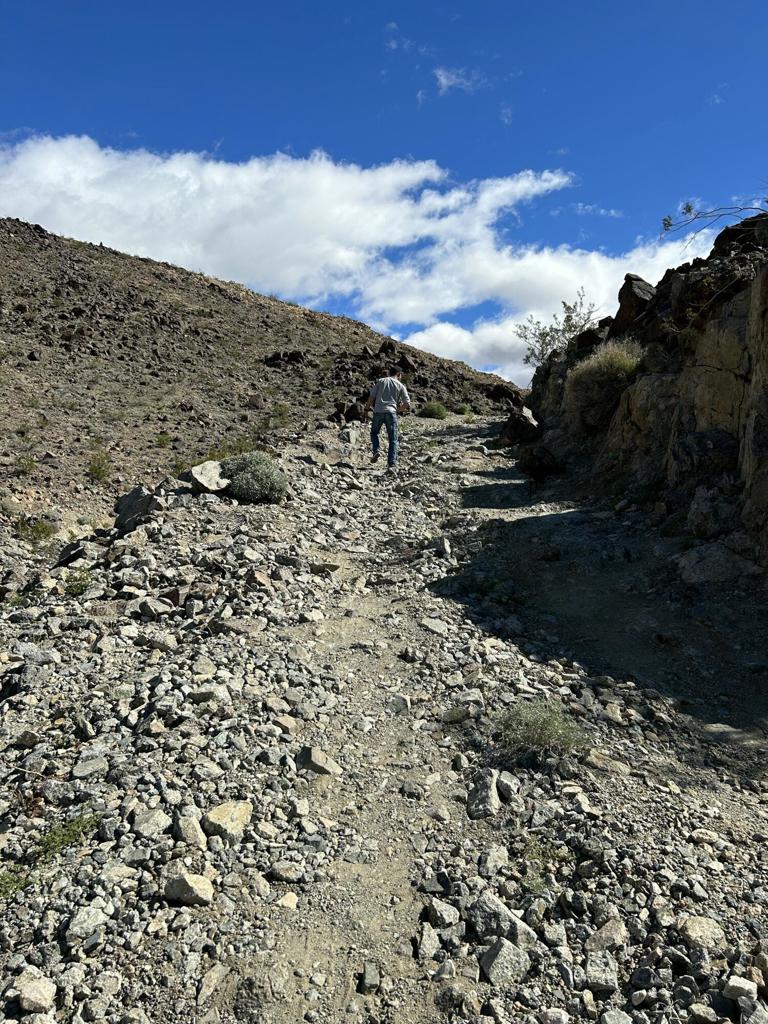 MLS #219133233DA image #23