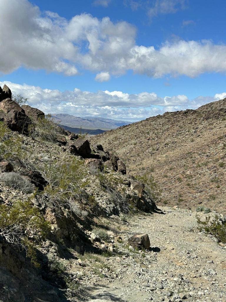 MLS #219133233DA image #25