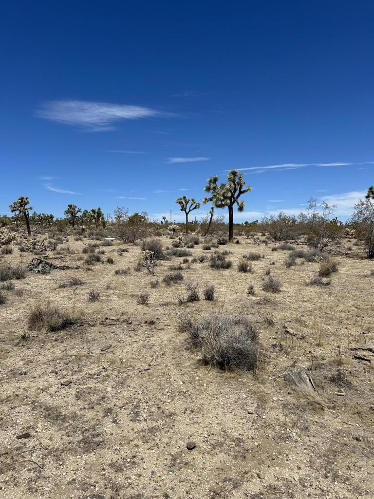 MLS #219133233DA image #26