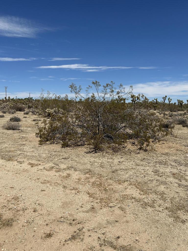 MLS #219133233DA image #3