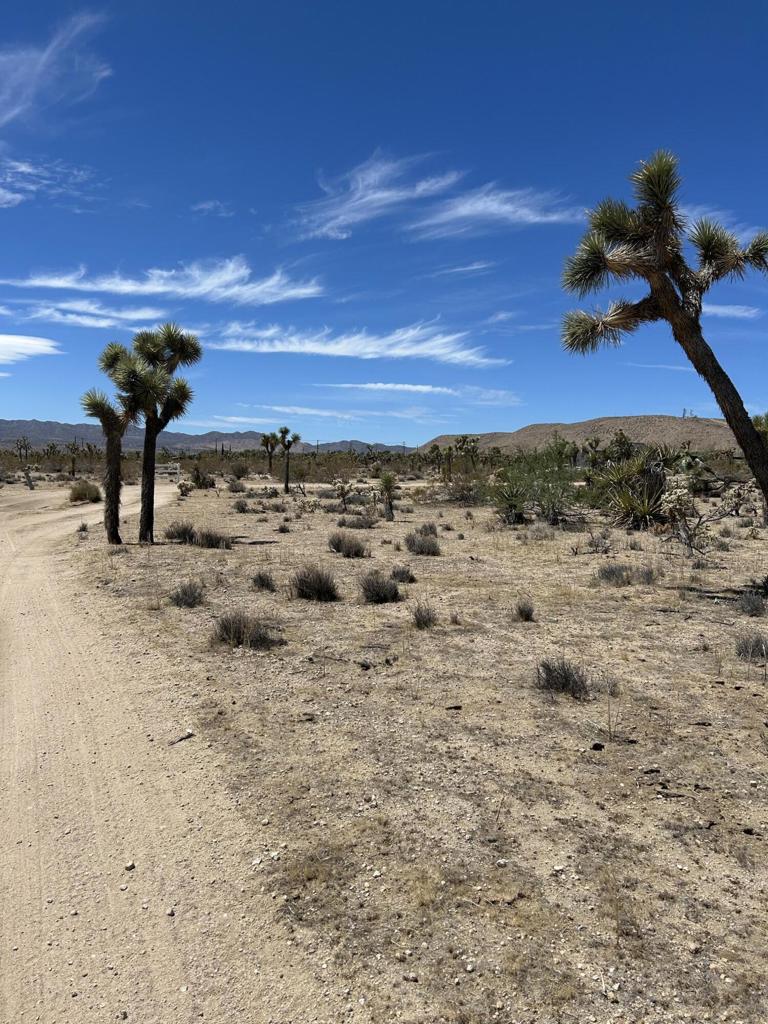 MLS #219133233DA image #8