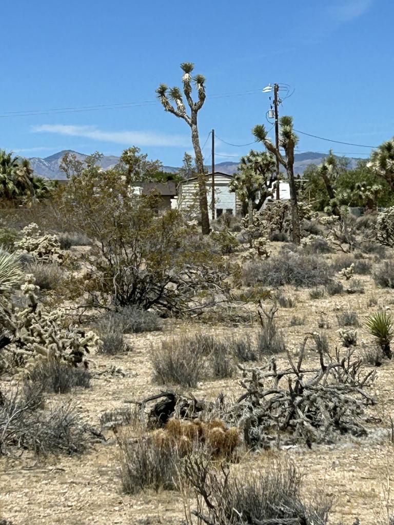 MLS #219133233DA image #9