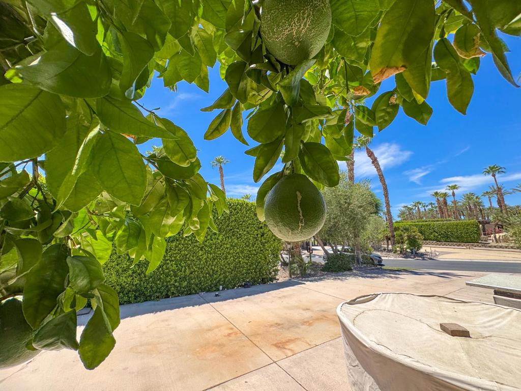 MLS #219133248DA image #15