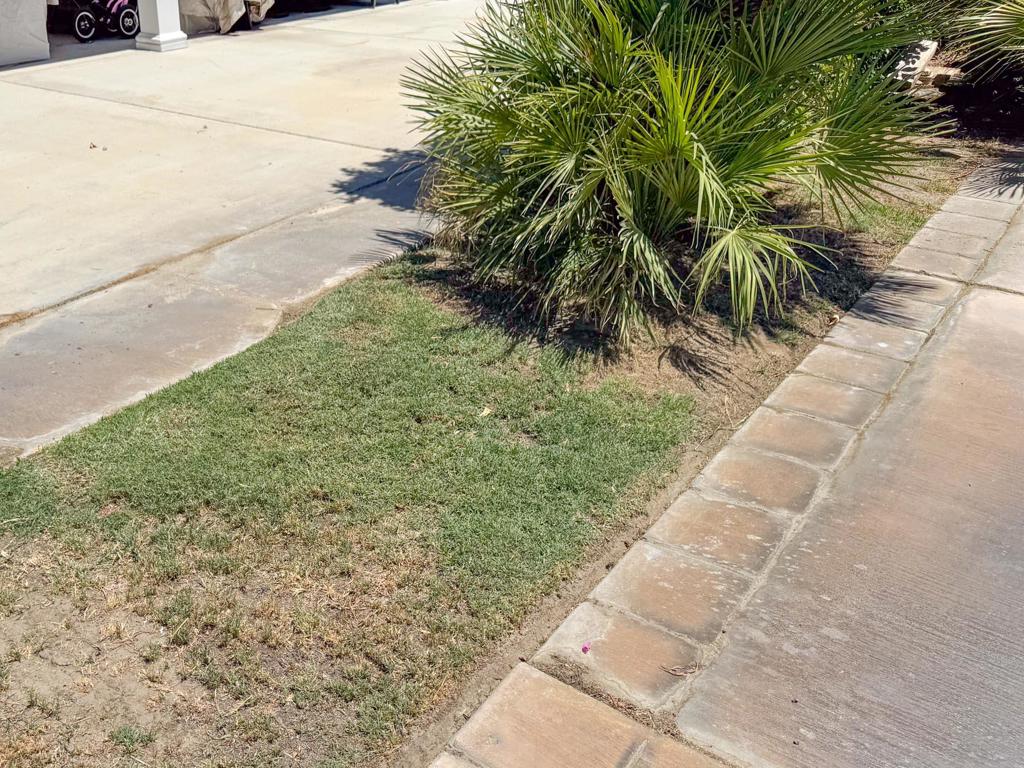 MLS #219133248DA image #5