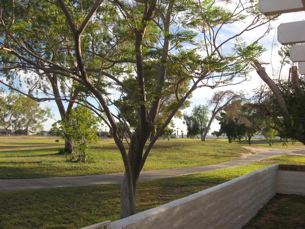 MLS #219133275DA image #24