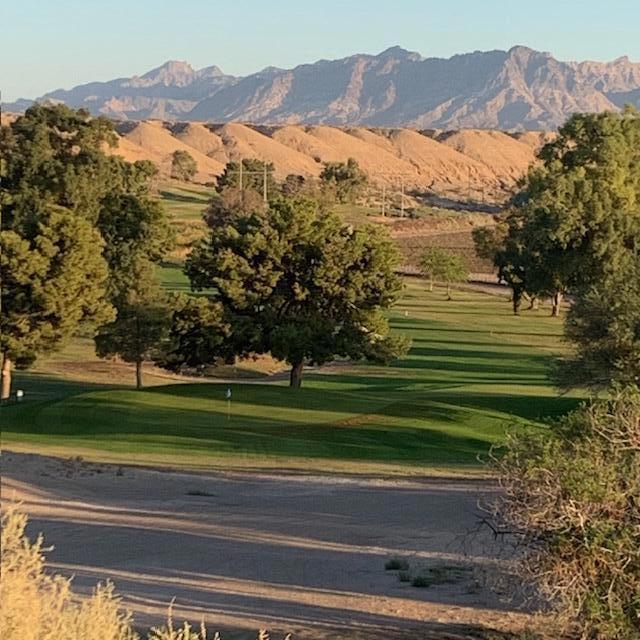 MLS #219133275DA image #30