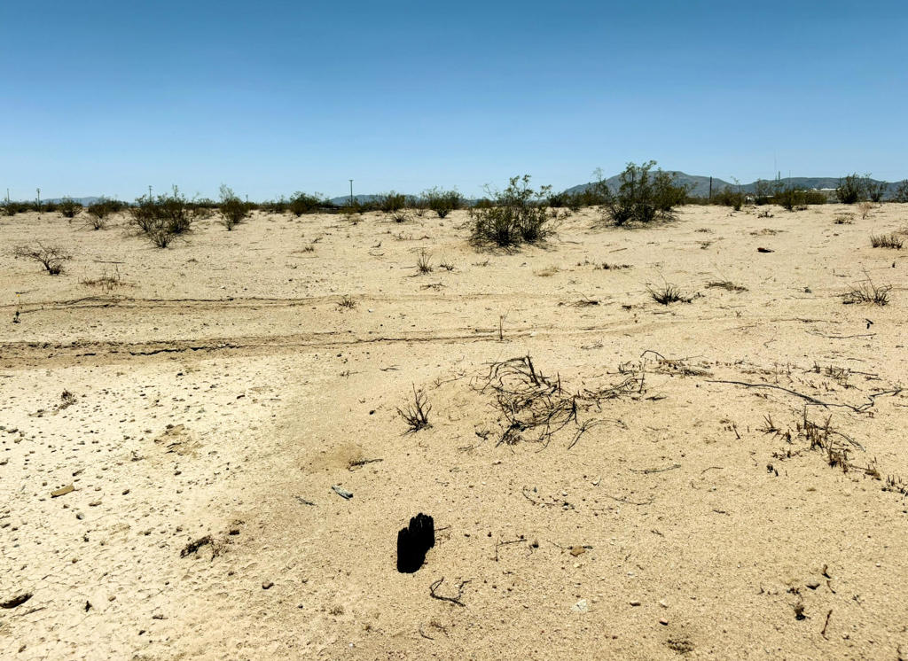 MLS #219133303PS image #16