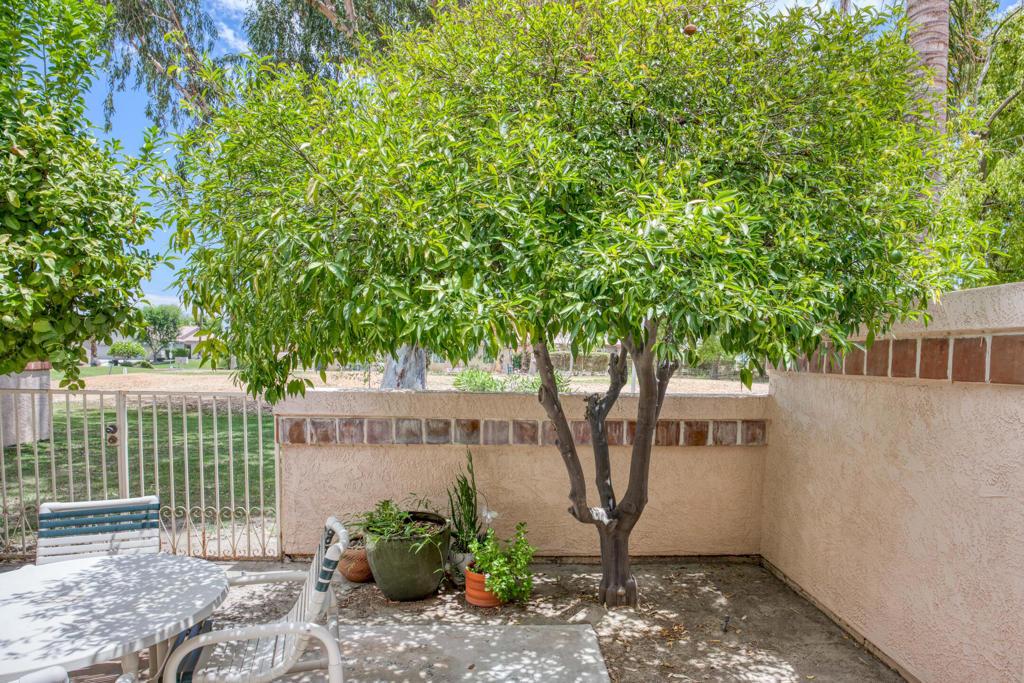 MLS #219133312DA image #14