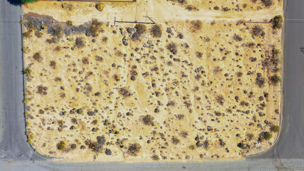 MLS #219133356DA image #5