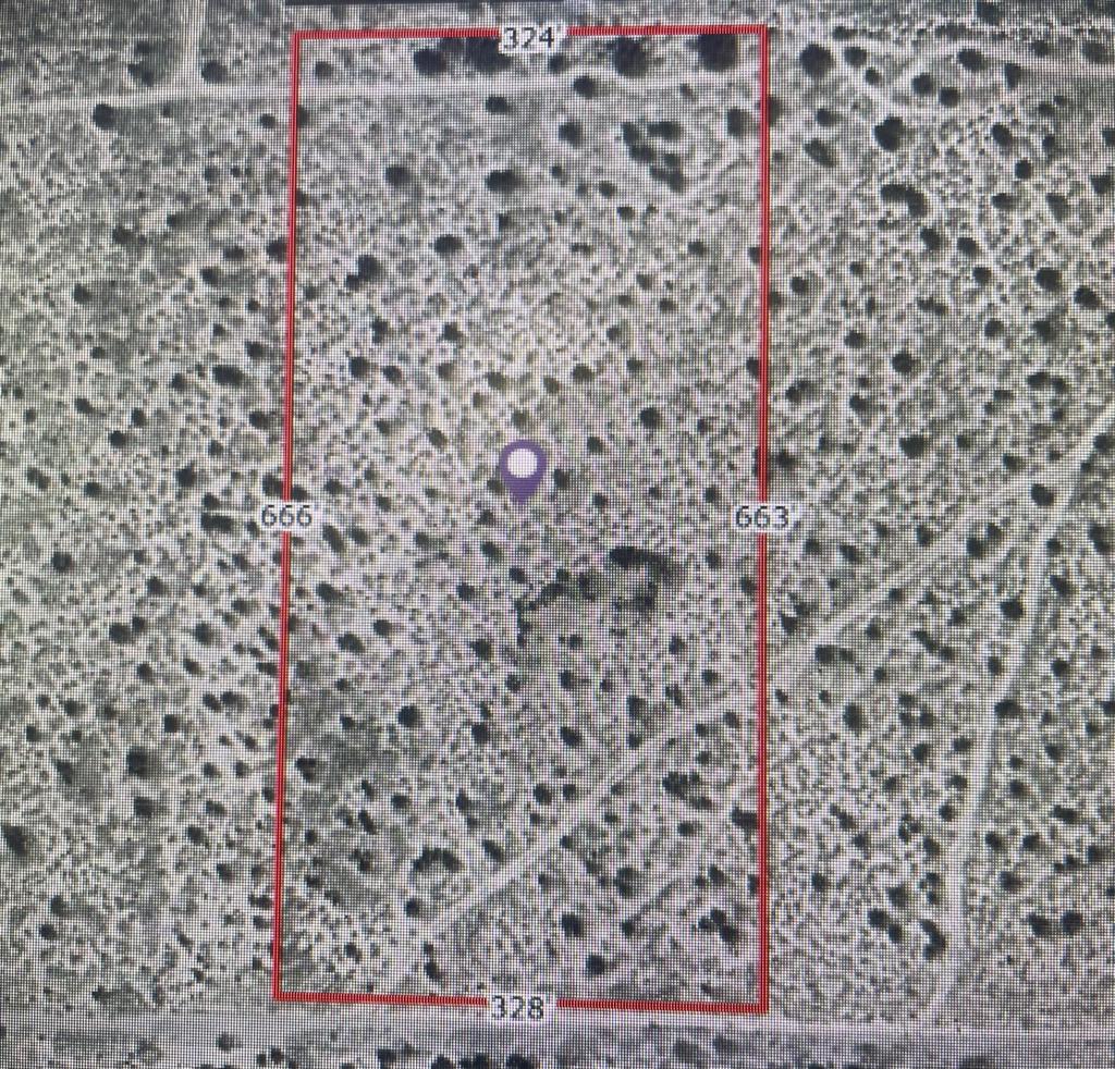 MLS #219133363DA image #4