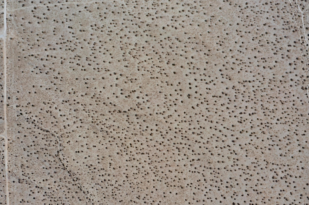 MLS #219133395DA image #6