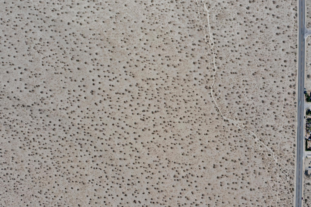 MLS #219133395DA image #7