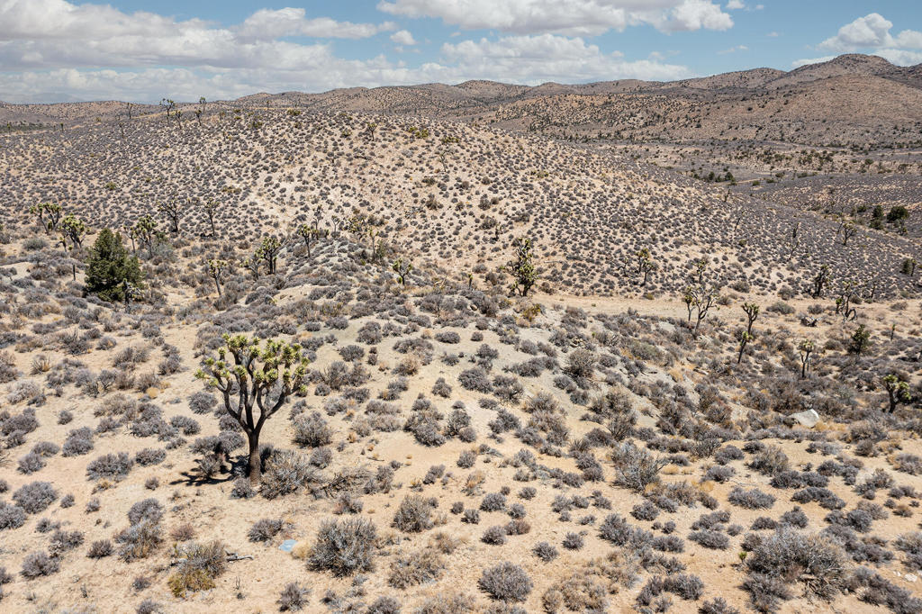 MLS #219133468PS image #10