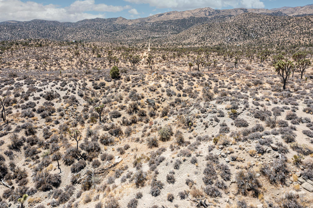 MLS #219133468PS image #12