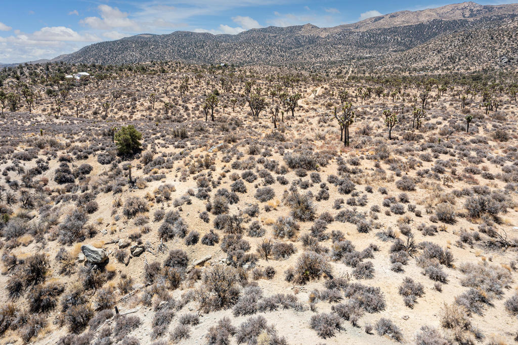 MLS #219133468PS image #13